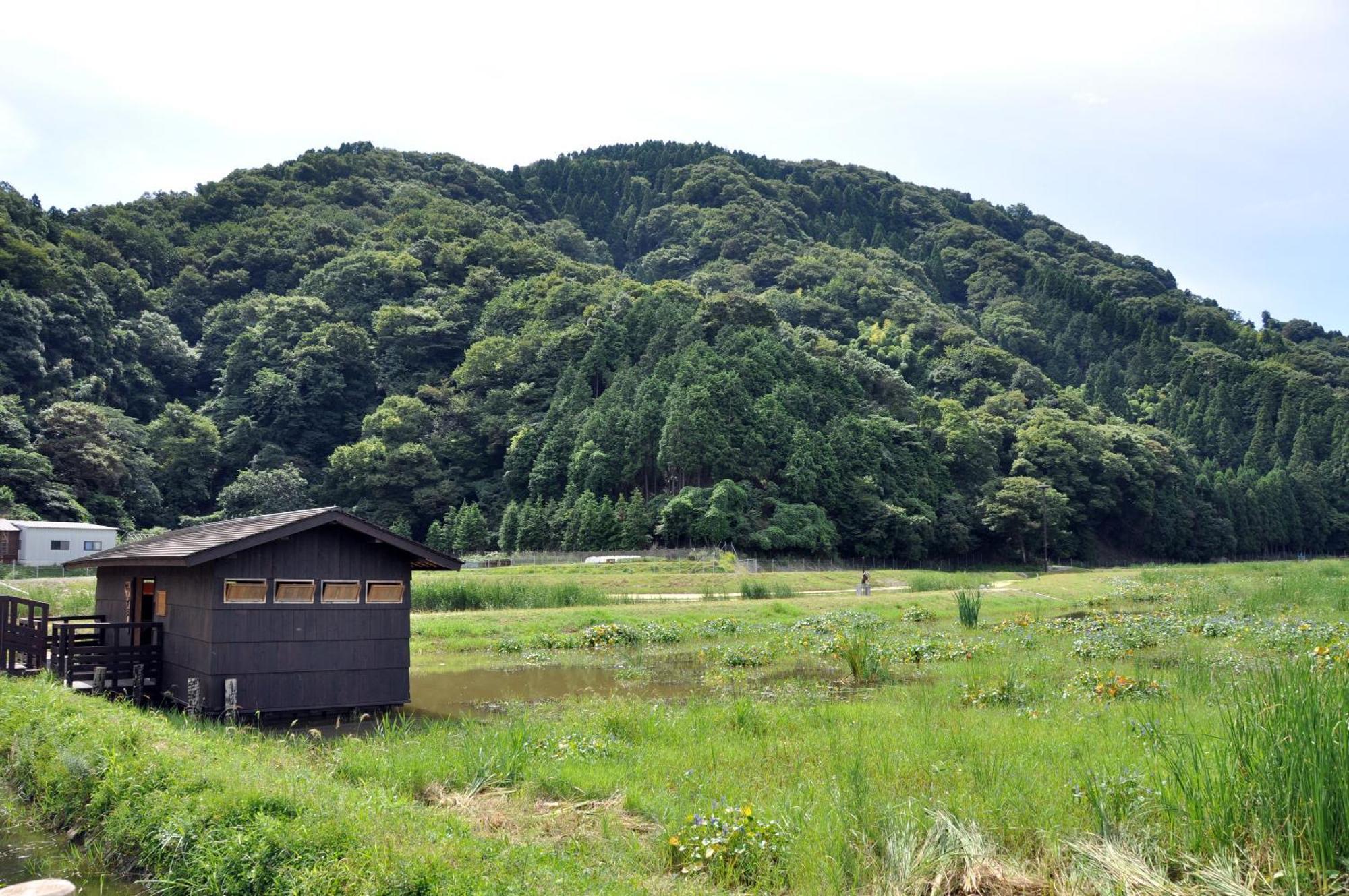 Ginka Ryokan Toyooka (Hyogo)